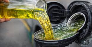 Etanol e biodiesel